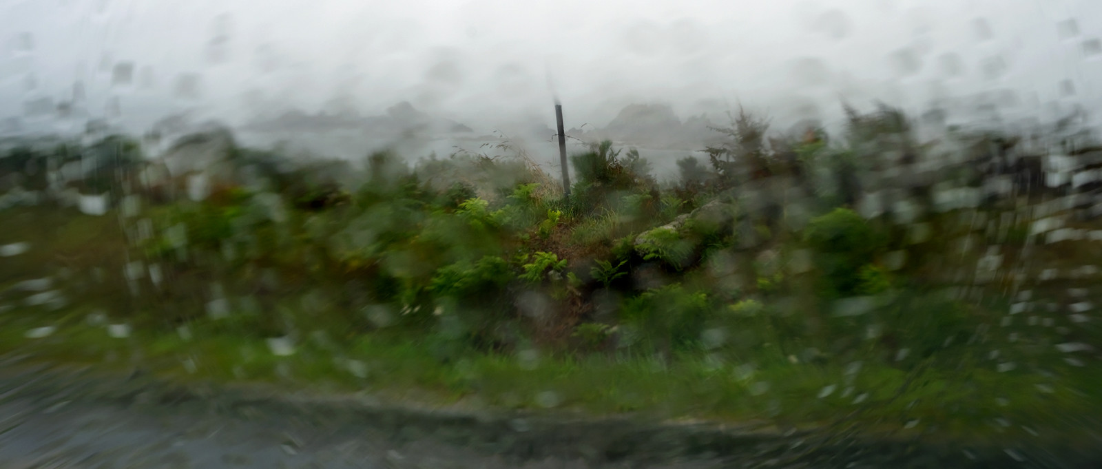 Une journée pluvieuse dans la Hague