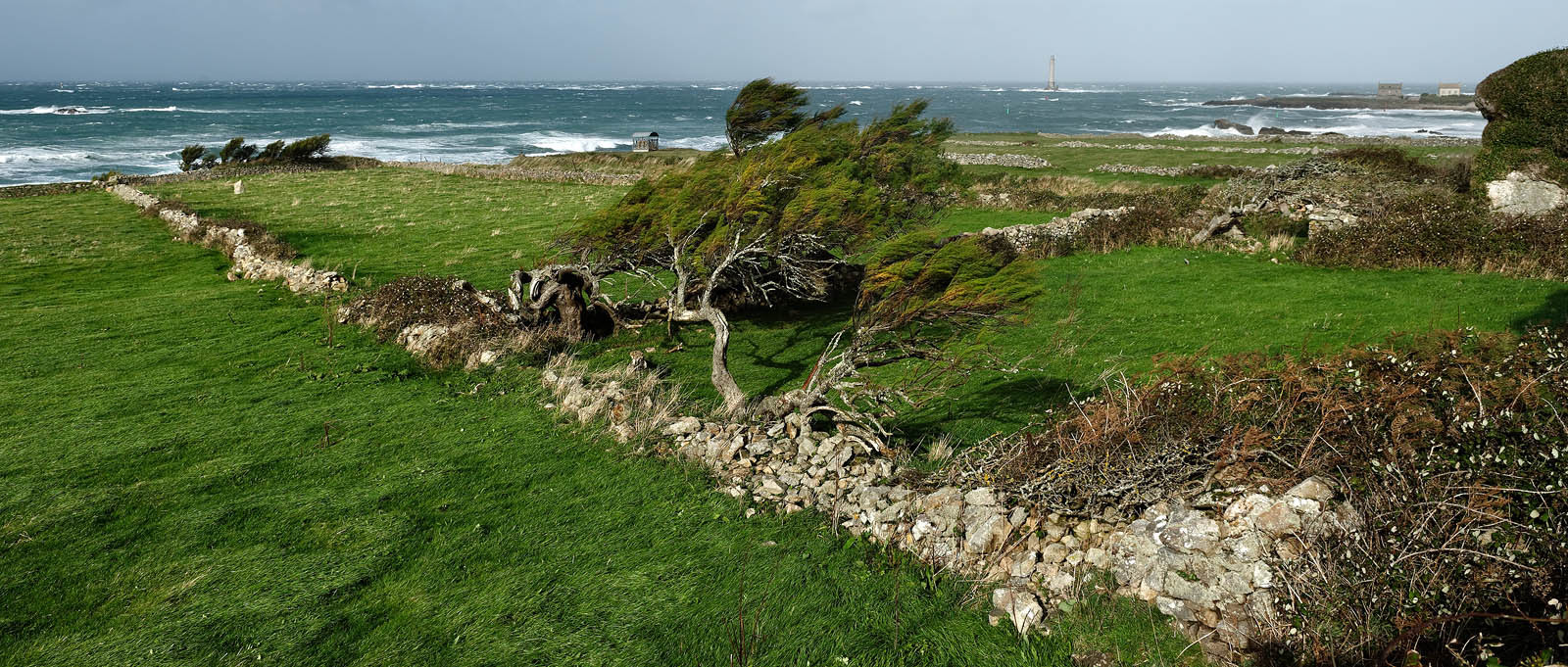 Cap de la Hague (Goury)