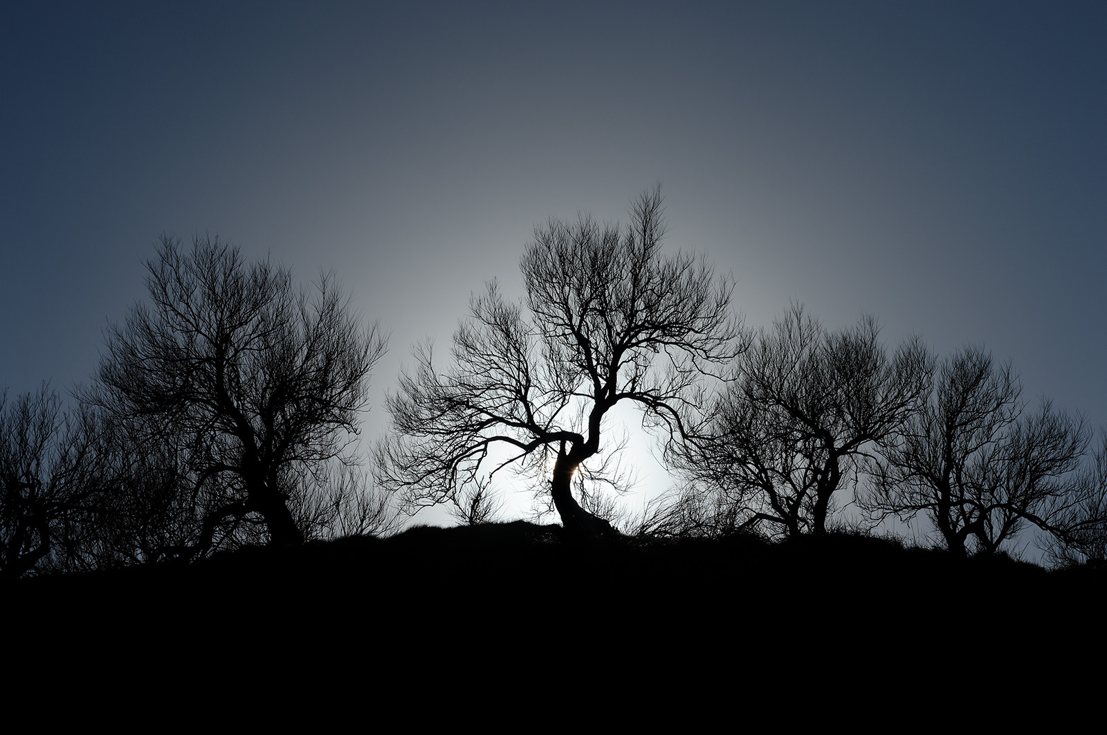 La Hague. A l'épreuve du temps [Exposition au Manoir du Tourp]