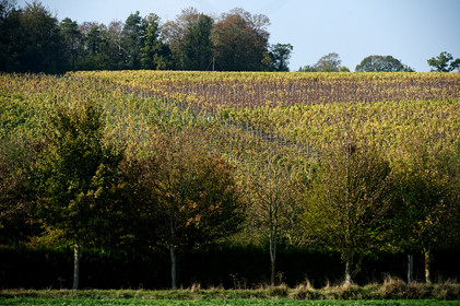 Reportages réalisés pour la rédaction Ouest-France de Caen.