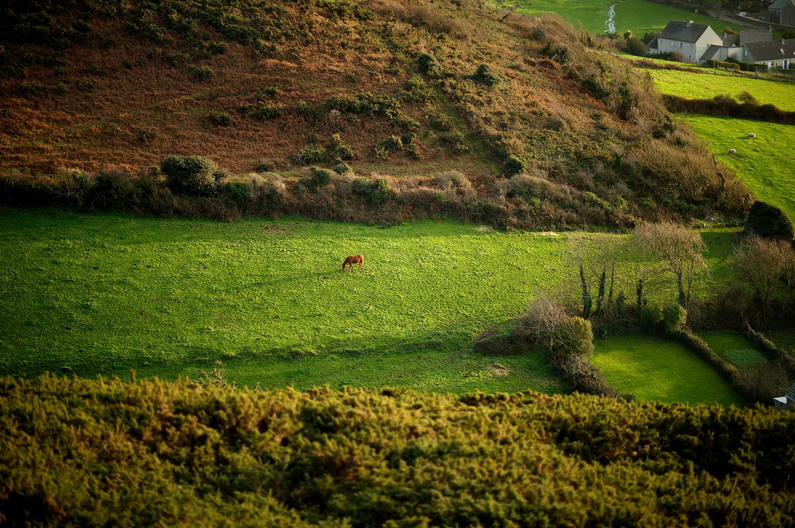 Le village de Vauville fait partie des sites classés de la Hague, Cap Cotentin. Les Pierres Pouquelées, galerie néolithique, sont un témoignage de l'Antiquité.La mare de Vauville est une réserve naturelle. Créée en 1976 c'est l'une des 135 réserves naturelles de France. Géré par le Groupe Ornithologique Normand depuis 1983, c'est un marais d'eau douce protégé de la mer par un étroit cordon dunaire. La mare de Vauville fait 62 ha, il y a plus de 150 espèces d'oiseaux ainsi que de 350 plantes et 16 espèces de batraciens.Un édifice autrefois religieux domine le village. C'est le prieuré de Vauville construit dans les landes, sur le haut d'une colline.Créé par Eric et Nicole Pellerin en 1947, l'exceptionnel jardin botanique du château de Vauville occupe plus de 40 000 m2. Abritant plus de 1000 espèces de l'hémisphère austral, le jardin entoure le château de Vauville dans une ambiance subtropicale tout à fait surprenante.