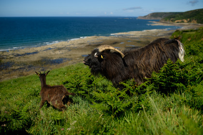Reportage Des Racines et Des Ailes (mai 2023)