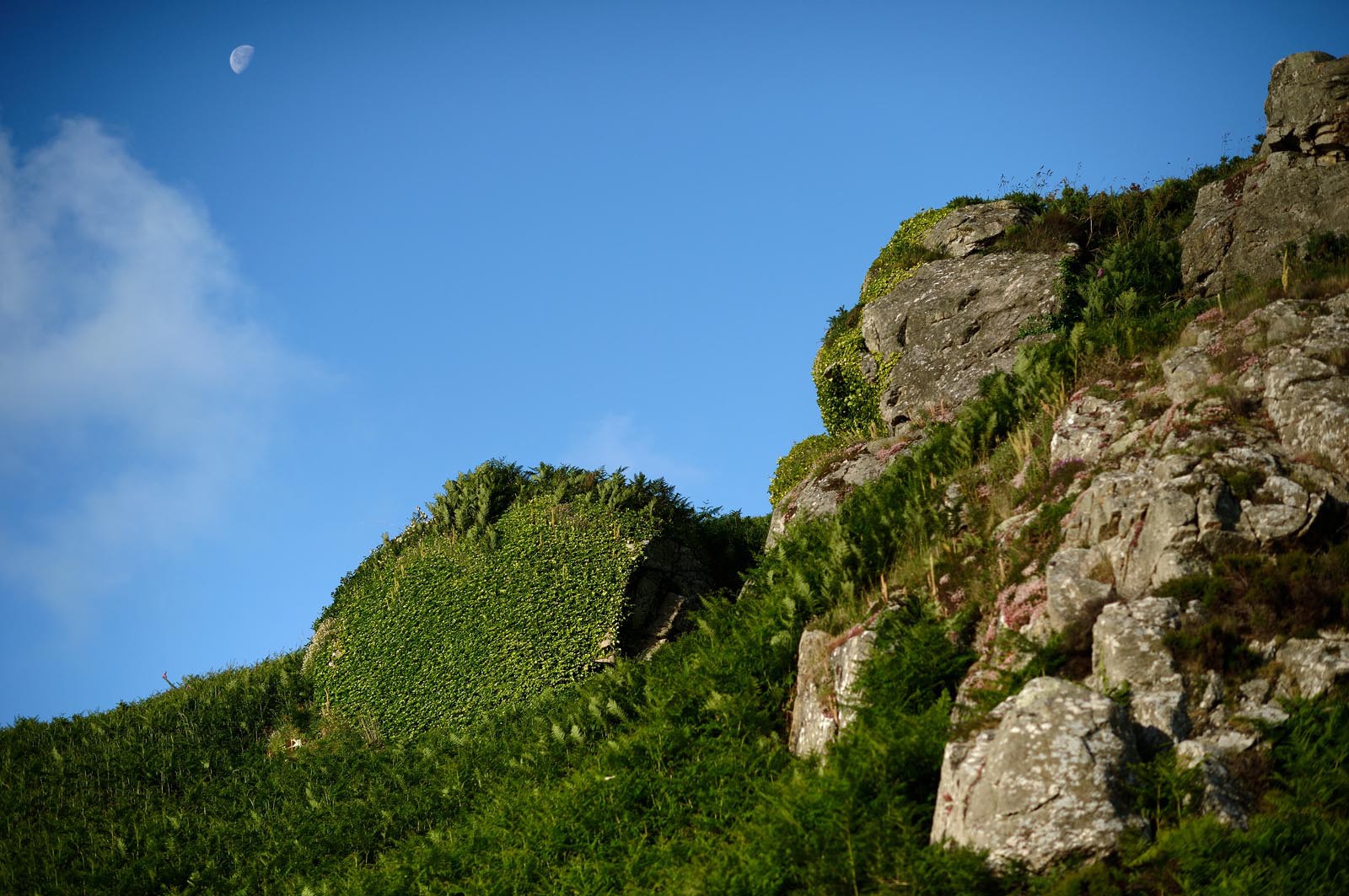 Cette petite baie se situe entre Landemer et le port d'Omonville-la-Rogue (Manche) sur le sentier des Douaniers.
