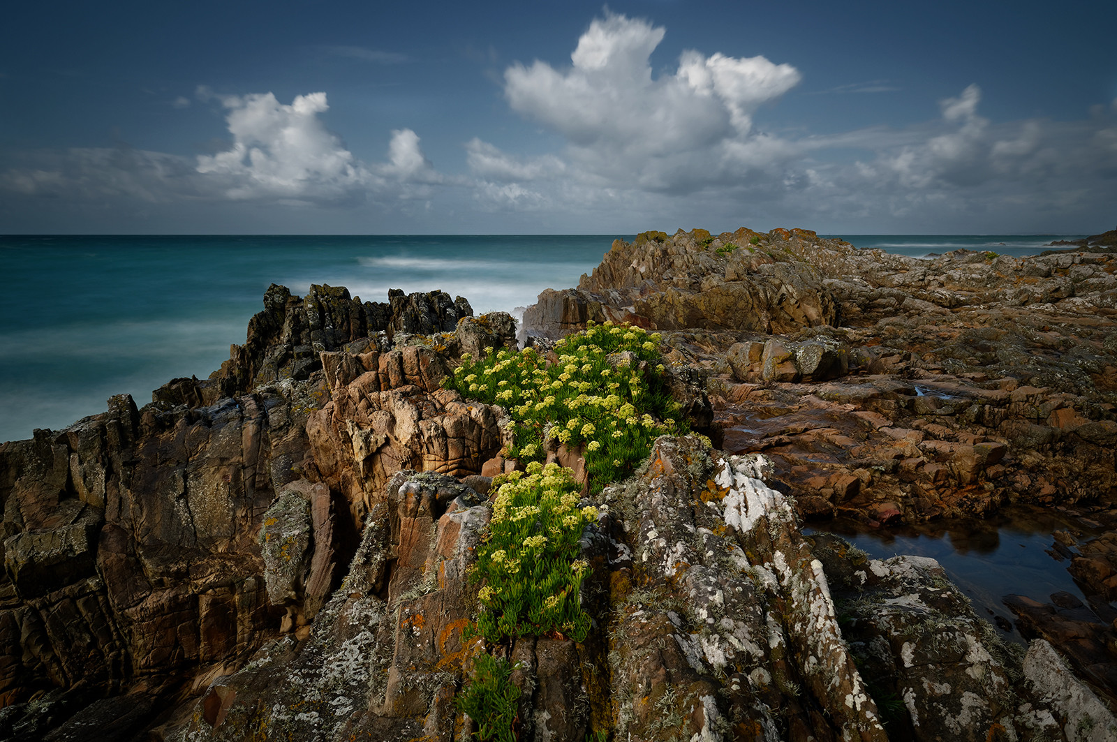 La Hague. A l'épreuve du temps [Exposition au Manoir du Tourp]