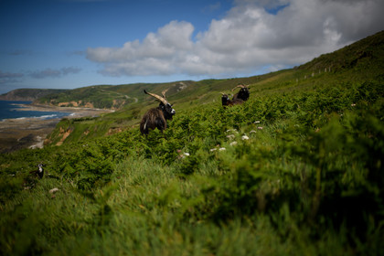 Reportage Des Racines et Des Ailes (mai 2023)