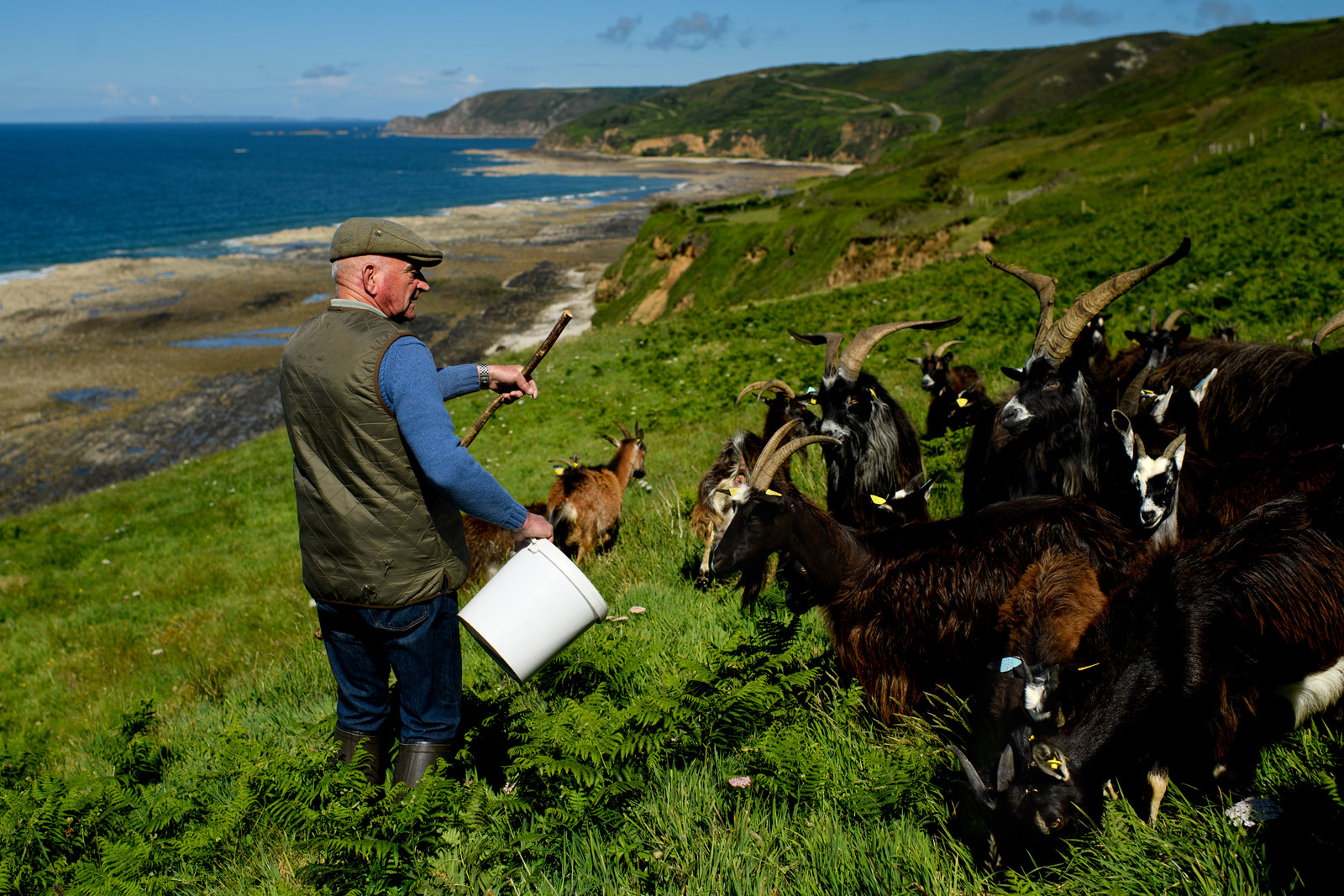 Reportage Des Racines et Des Ailes (mai 2023)
