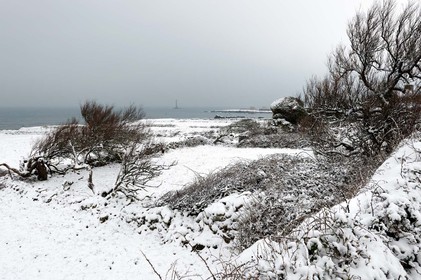 Antoine Soubigou Photographe