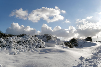 Antoine Soubigou Photographe