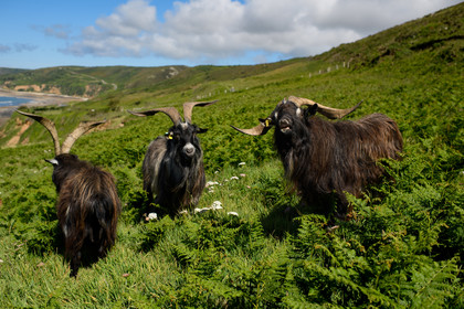 Reportage Des Racines et Des Ailes (mai 2023)
