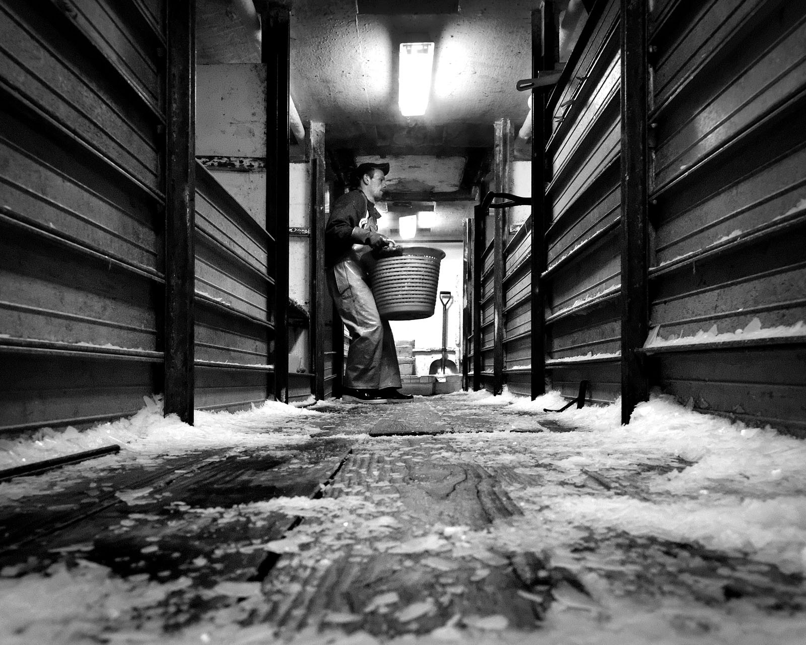 Marin pêcheur.. Deux mots qui suscitent tant de sentiments divers chez les gens de terre... Respect, admiration pour cette liberté, ce courage, mais aussi souvent peur et angoisse. Sont-ils fous ou désepérés pour risquer ainsi leurs vies quotidiennement ? Non, justes passionnés par leur métier, la mer est leur grande histoire d'amour.Le salaire de la peur des forcats de la mer, le journaliste avait raison.Ces photographies réalisées au cours de plusieurs marées à bord du Yannick, chalutier cherbourgeois, vous décrivent l'histoire d'un navire, d'un équipage, d'une famille. Vous embarquez à leurs côtés et découvrez leurs conditions de travail, la tempête, la fatigue, et, au détour d'une image, un sourire.Sophie LeroyDirectice de l'Armement Cherbourgeois