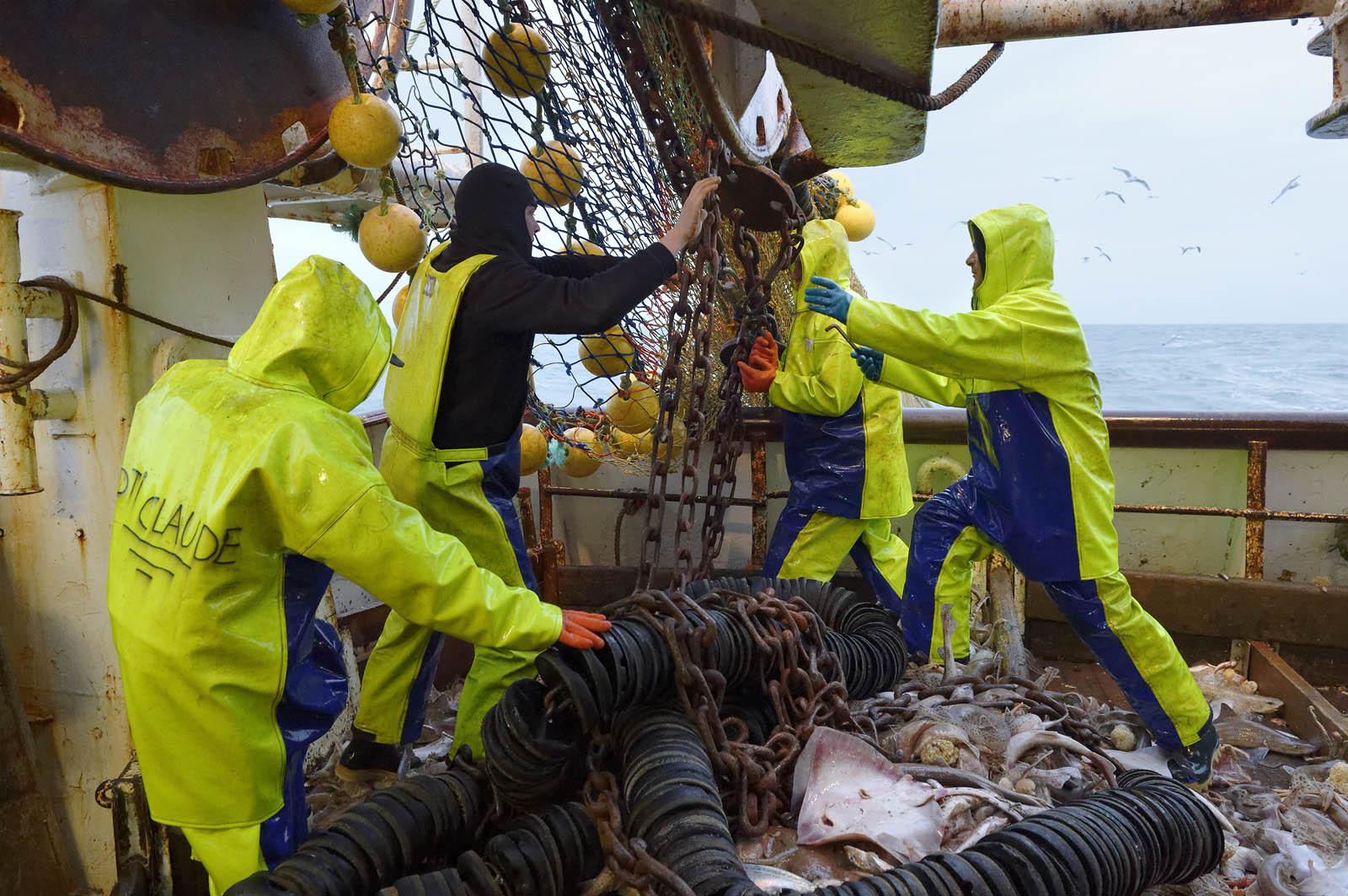 Ce reportage a été réalisé en janvier 2014 à bord du chalutier Marie-Catherine, appartenant à la SARL Armement Cherbourgeois créé en 1999 par Sophie et David LEROY. Cette marée de 7 jours fût assez mouvementée d'une part par la météo très capricieuse, mais également par la difficulté de réaliser les prises de vues. Une sélection de 20 photographies a été présentée lors de la 4ème édition du Festival photo L'Homme et la Mer au Guilvinec (Bretagne) en 2014, ainsi qu'au Musée de Tatihou 'Avis de grand frais (Manche) http:  www.armement-cherbourgeois.fr 