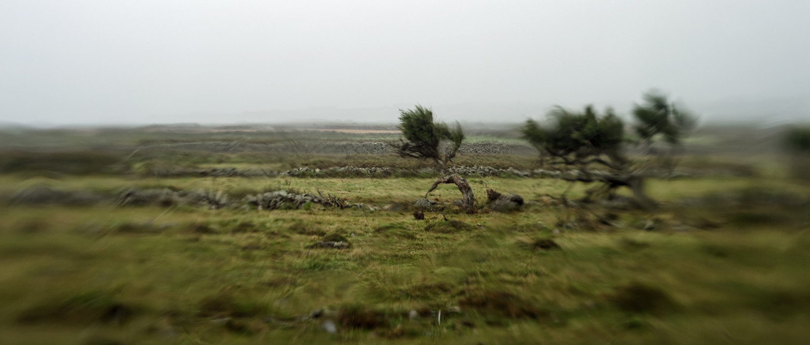Une journée pluvieuse dans la Hague