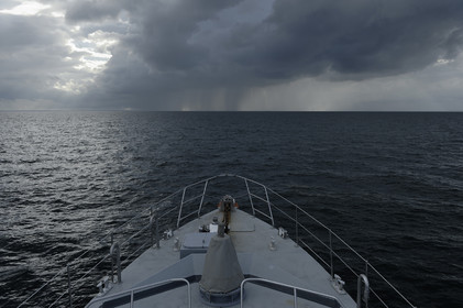 Le Géranium est entré en service en février 1997, et comme il est de tradition dans la gendarmerie, toutes les unités d'une même série portent des noms relevant d'une thématique unique (la Jonquille, la Violette et le Jasmin). L'identité professionnelle des gendarmes maritimes correspond à leur expertise d'enquêteurs et d'officiers de police judiciaire.