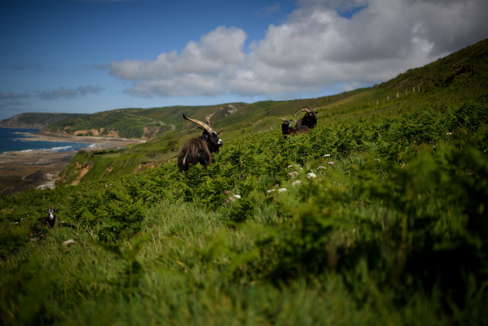 Reportage Des Racines et Des Ailes (mai 2023)
