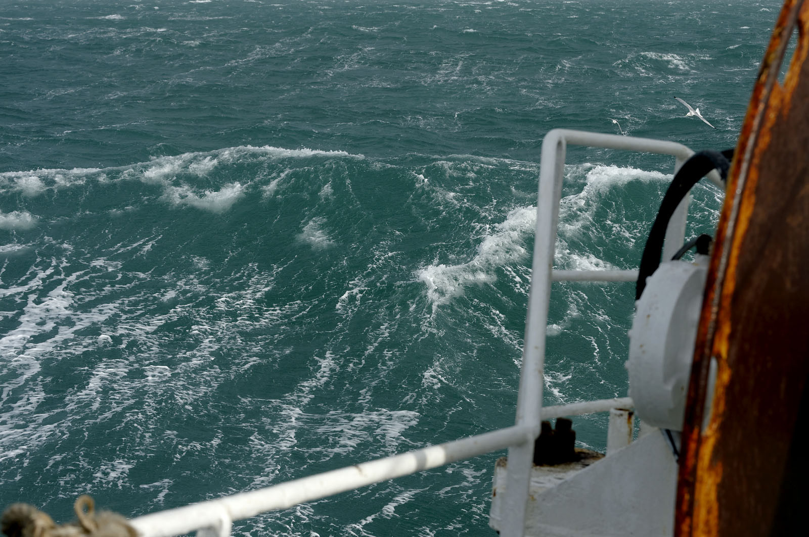 Ce reportage a été réalisé en janvier 2014 à bord du chalutier Marie-Catherine, appartenant à la SARL Armement Cherbourgeois créé en 1999 par Sophie et David LEROY. Cette marée de 7 jours fût assez mouvementée d'une part par la météo très capricieuse, mais également par la difficulté de réaliser les prises de vues. Une sélection de 20 photographies a été présentée lors de la 4ème édition du Festival photo L'Homme et la Mer au Guilvinec (Bretagne) en 2014, ainsi qu'au Musée de Tatihou 'Avis de grand frais (Manche) http:  www.armement-cherbourgeois.fr 
