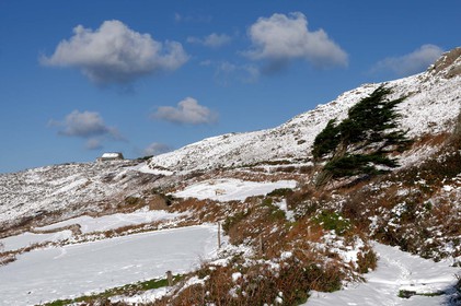 Antoine Soubigou Photographe