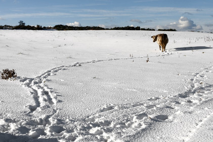Antoine Soubigou Photographe