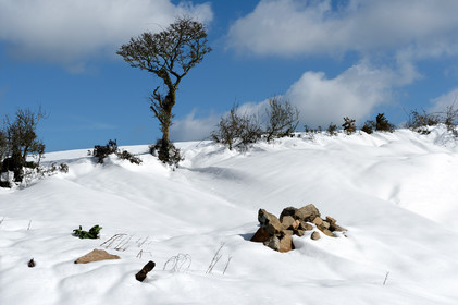 Antoine Soubigou Photographe