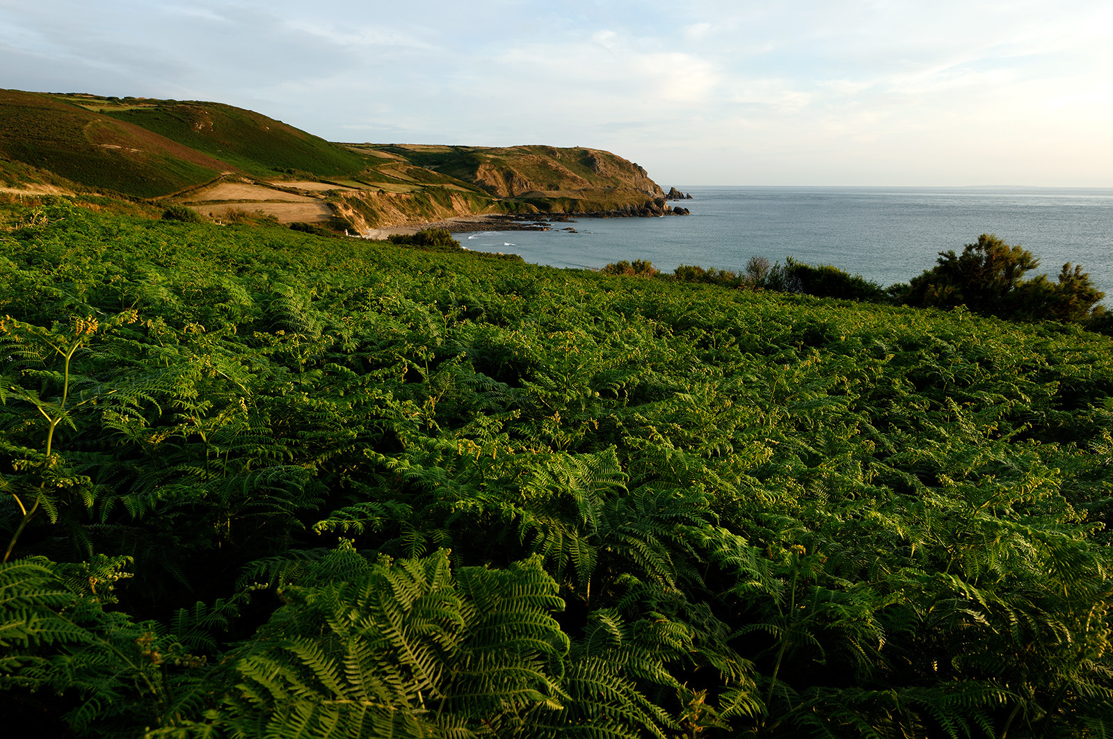 La Hague. A l'épreuve du temps [Exposition au Manoir du Tourp]