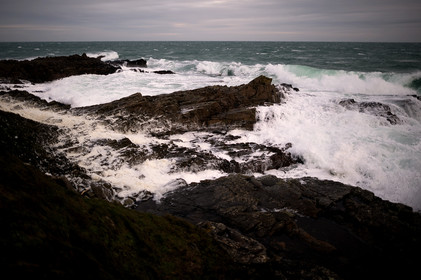 La Presqu'île du Cotentin