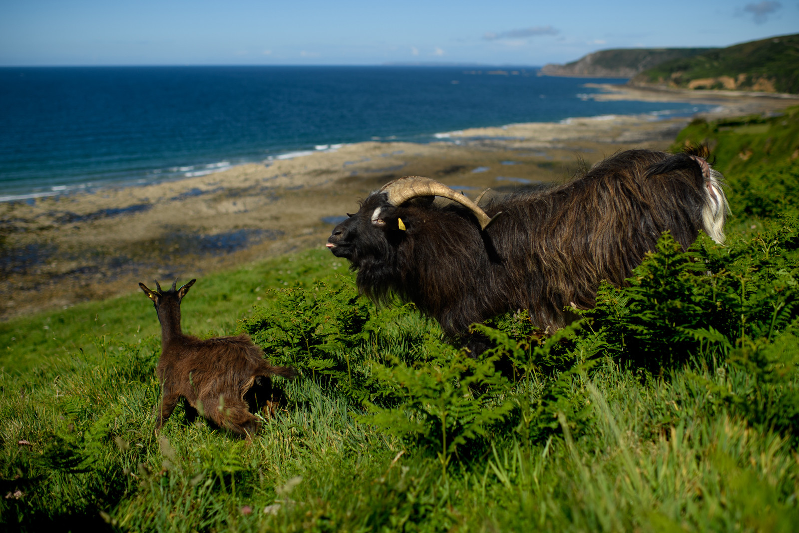 Reportage Des Racines et Des Ailes (mai 2023)